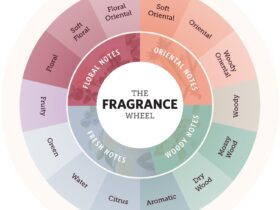 Fragrance Wheel Guide