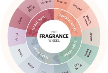 Fragrance Wheel Guide