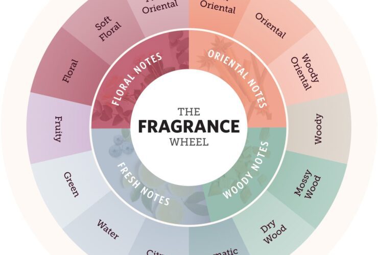 Fragrance Wheel Guide