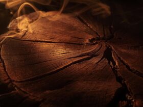 Oud Wood: The Liquid Gold of Perfumery