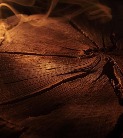 Oud Wood: The Liquid Gold of Perfumery