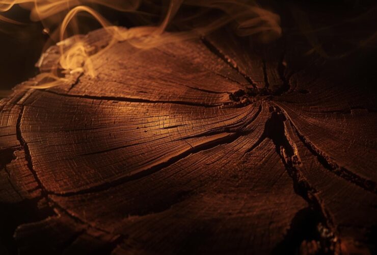 Oud Wood: The Liquid Gold of Perfumery