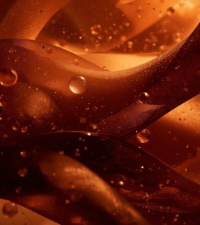 Oud Wood: The Timeless Allure of Liquid Gold