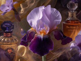 The Allure of Iris