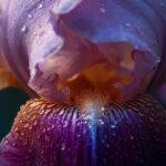 Heart of a Timeless Floral